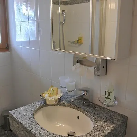 Bed & Breakfast Easy Celerina-st. Moritz 3*